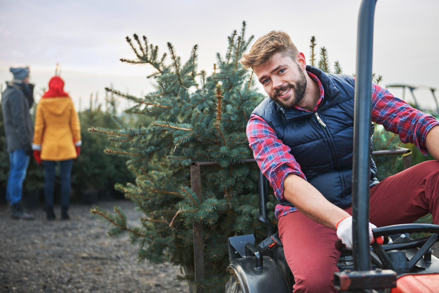 Seasonal Worker Visa UK Guide 2025 Explained